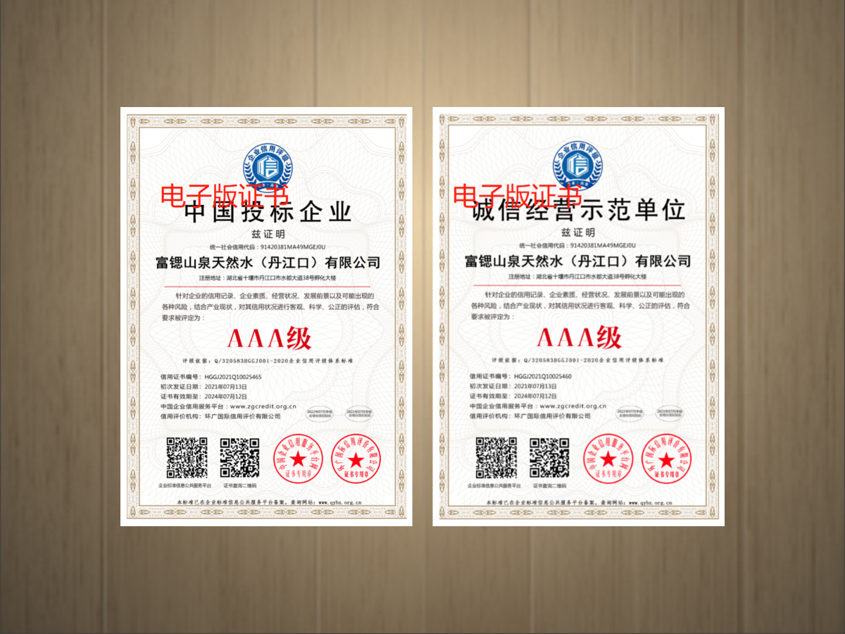 中国投标证书